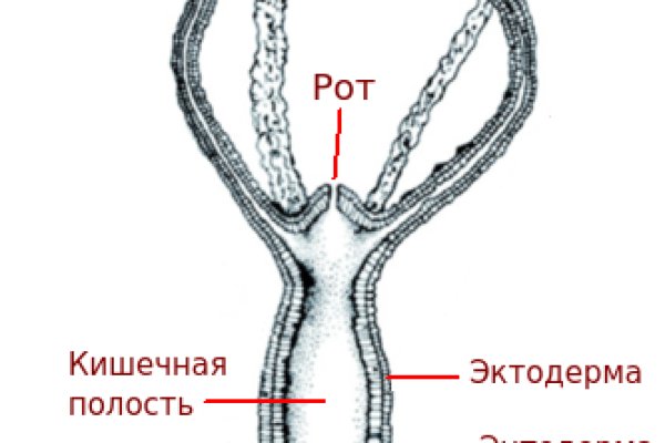 Кракен официальный сайт krakens13 at