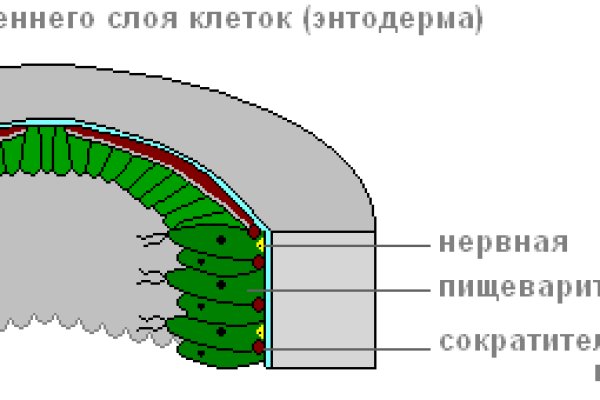 Kra12.cc